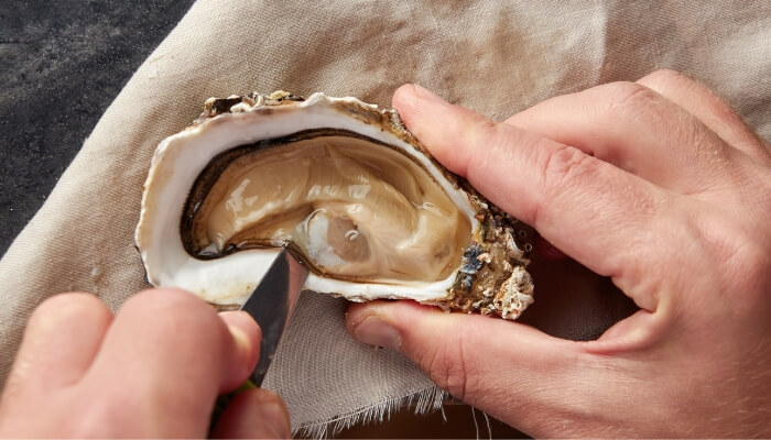 shucking step loosen oyster flesh
