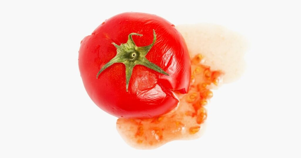 single crushed tomato
