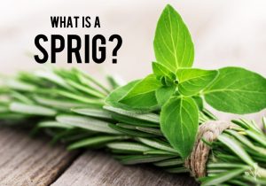 What Is A Sprig? Sprig Definitions Of Herbs