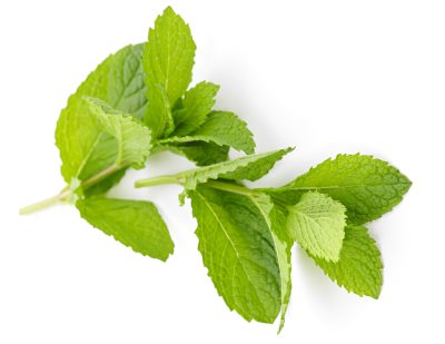 sprig of mint