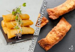 Spring Roll vs Egg Roll: Differences Wrapped Up