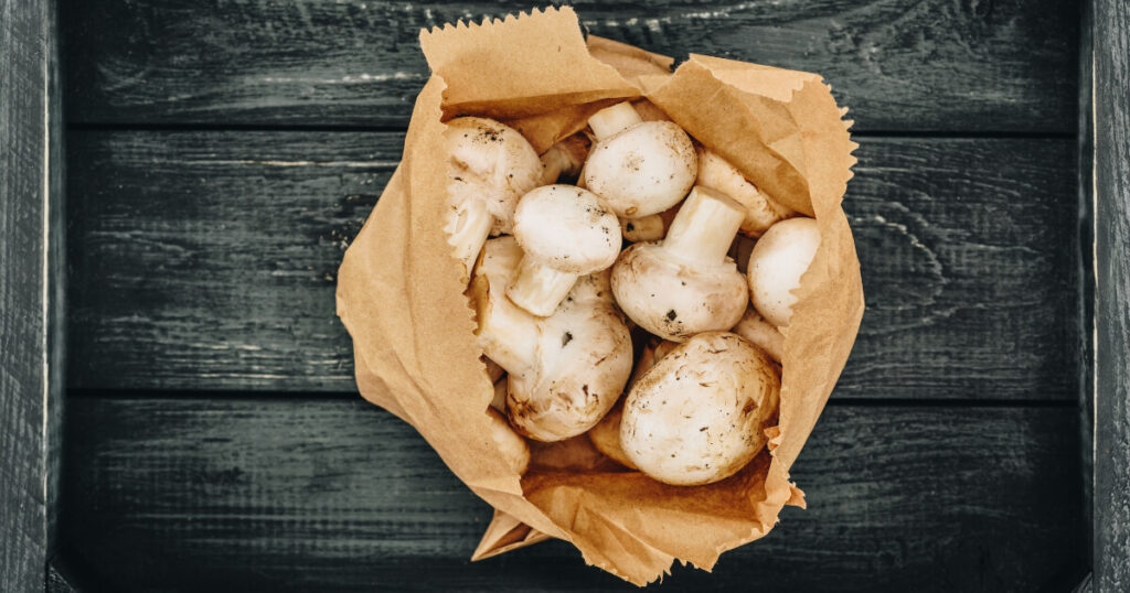 storing mushrooms in paper bag