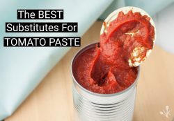 12 BEST Tomato Paste Substitutes & Alternatives