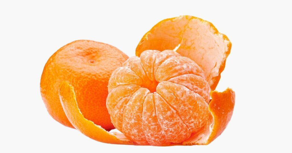 tangerine orange for juicing