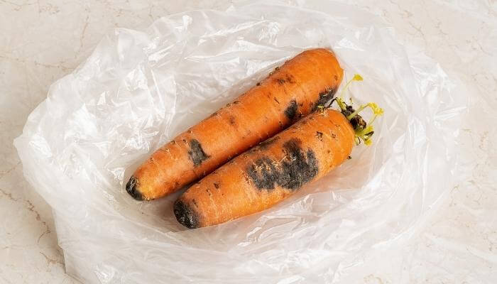 two rotten moldy carrots