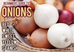 Spanish Onions vs Red, White, Yellow & Sweet