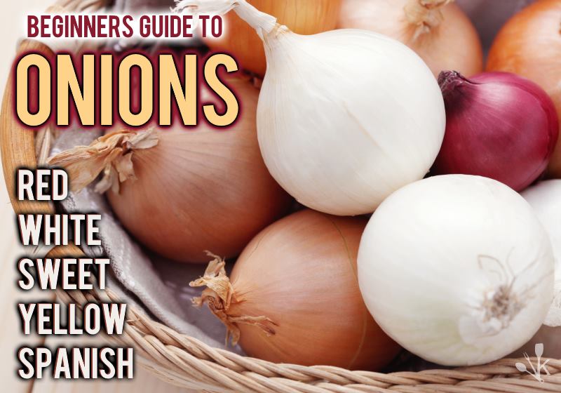 Spanish Onions Vs Red White Yellow Sweet Kitchensanity,Best Steaks To Cook