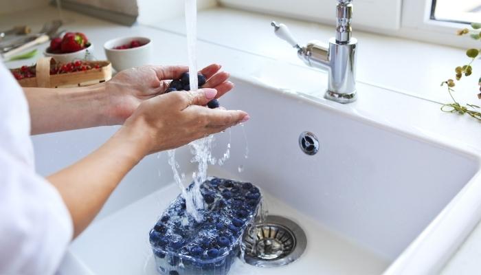 washing blueberries in sink